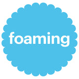 Foaming Dish & Bottle Soap, Fragrance Free, 16 Fl Oz